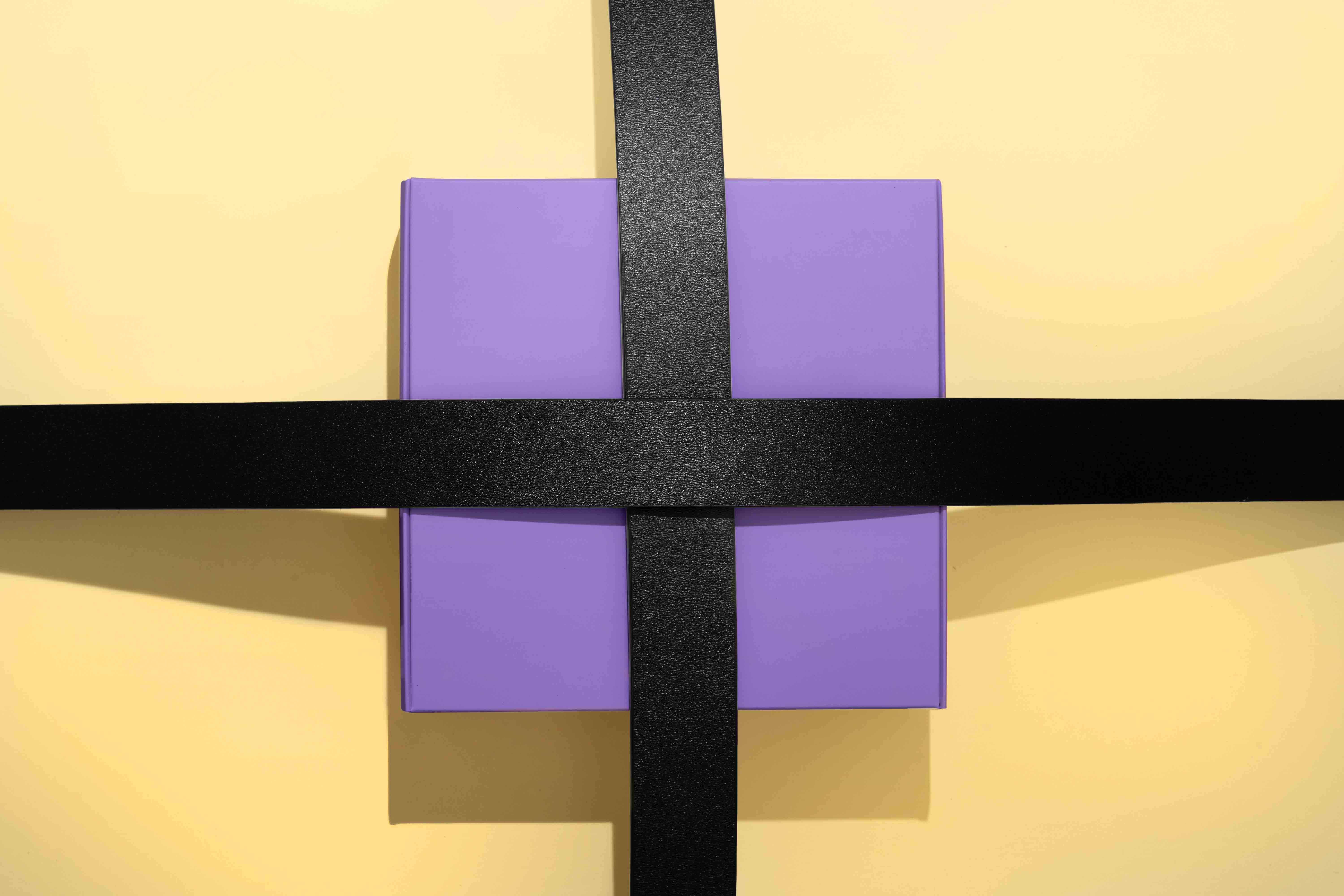 皮带VI设计包装素材