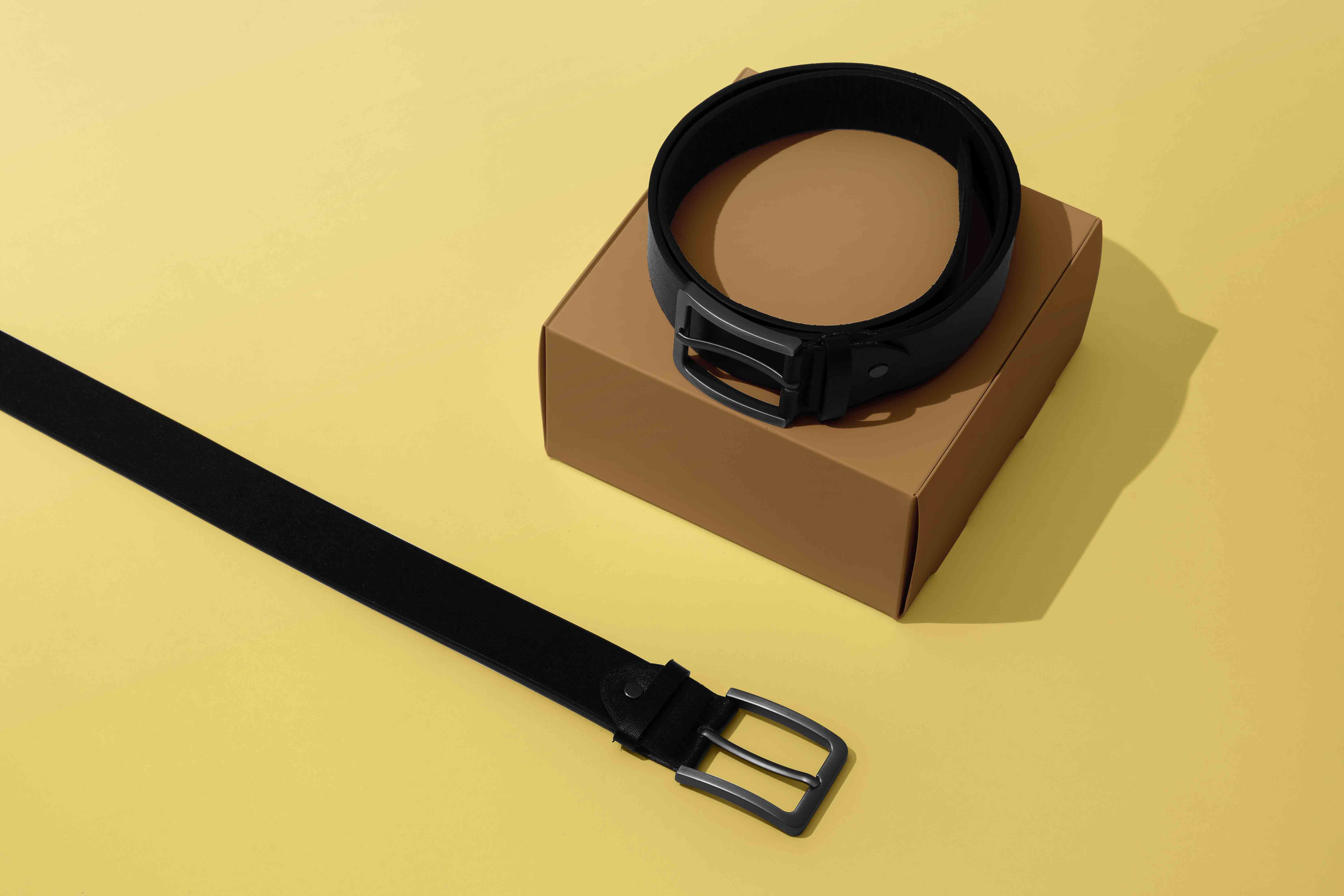 腰带VI提案设计ps贴图