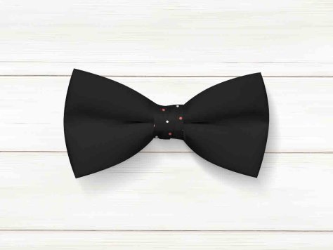 黑色领结设计ps贴图